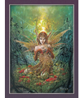 The Cobweb Fairy