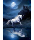 Moonlight Unicorn