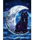 Celtic Black Cat