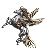 Pegasus (oos)
