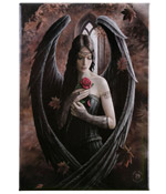 Angel Rose Magnet